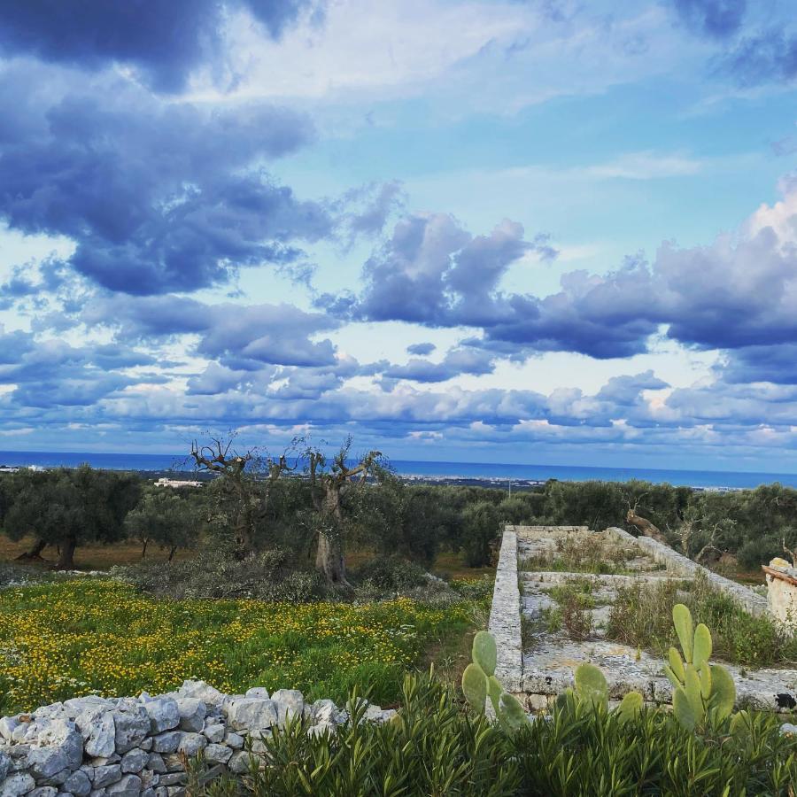 Bed and Breakfast La Guendalina Masseria E Casa Particular Монополи Экстерьер фото