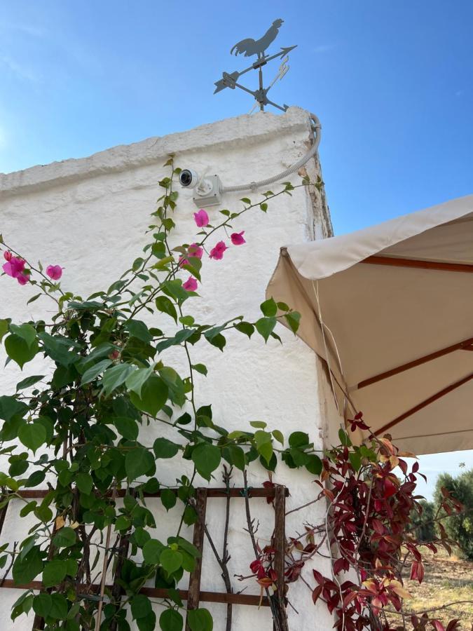 Bed and Breakfast La Guendalina Masseria E Casa Particular Монополи Экстерьер фото